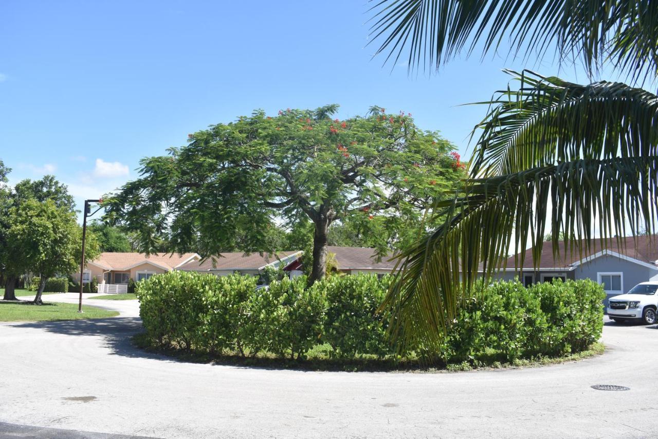Apartament Miami nice Zewnętrze zdjęcie